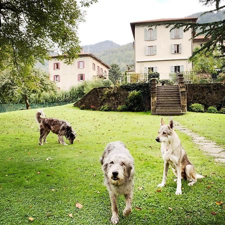 Hotel Alpe Del Lupo San Fedele Intelvi Exteriér fotografie