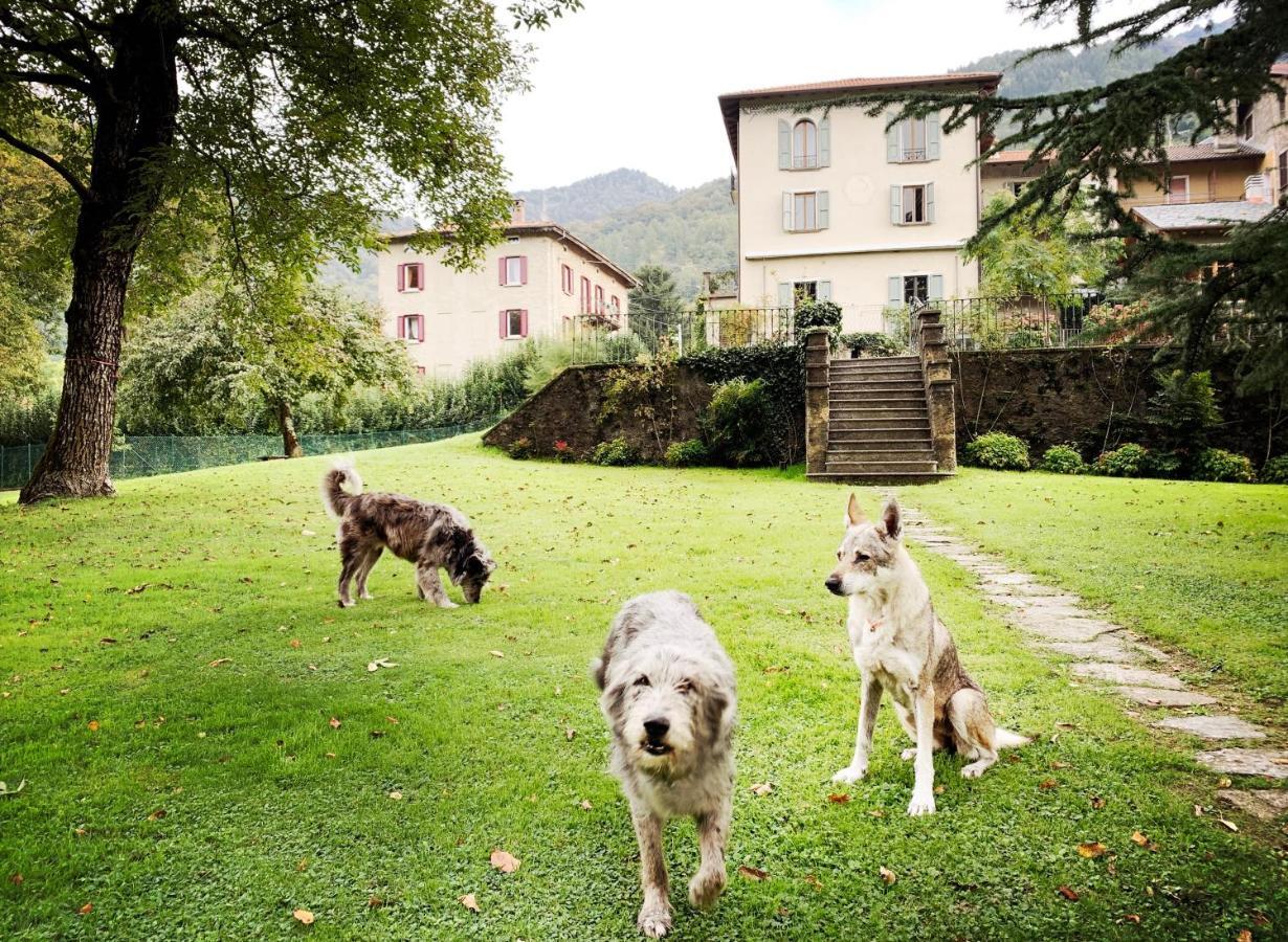 Hotel Alpe Del Lupo San Fedele Intelvi Exteriér fotografie